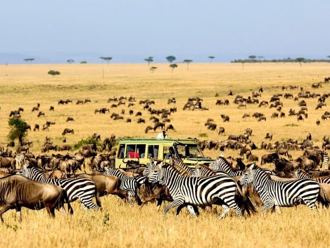 Game Drives image 1