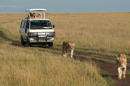Game Drives image 4