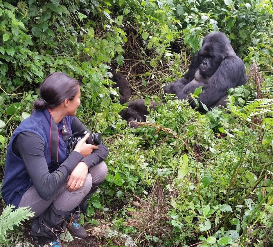 Gorilla Trekking image 3