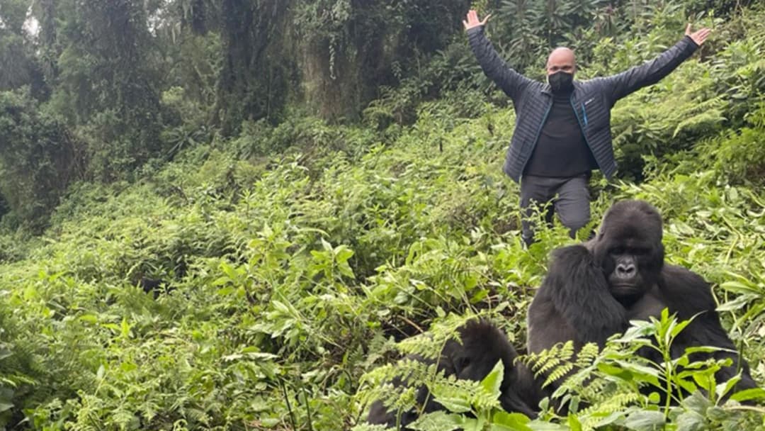Gorilla Trekking image 4