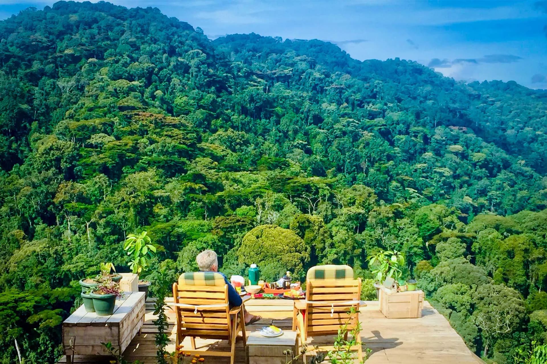 Bwindi Impenetrable Forest