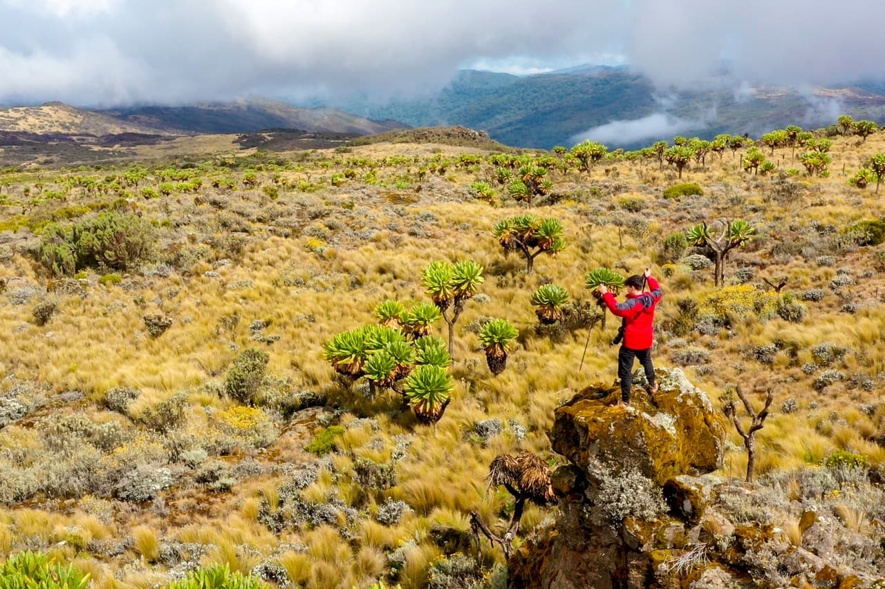 Mount Elgon National Park