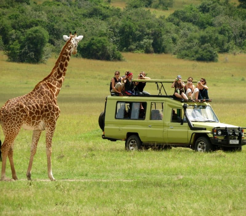 7-Day Gorilla & Wildlife Safari